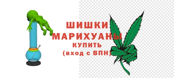 прущие грибы Бородино