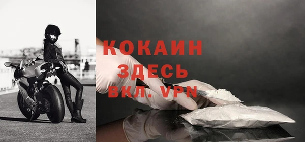 шишки Магас