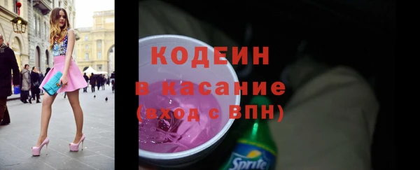 прущие грибы Бородино