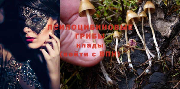сатива Мегион