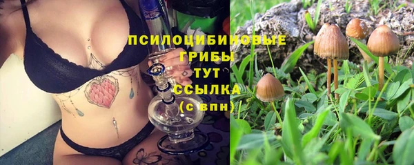 круглые Бронницы