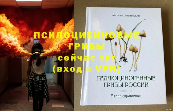 круглые Бронницы
