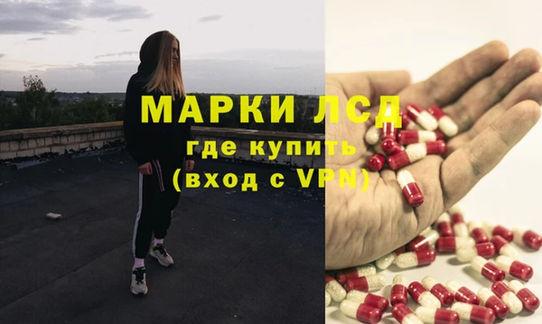прущие грибы Бородино
